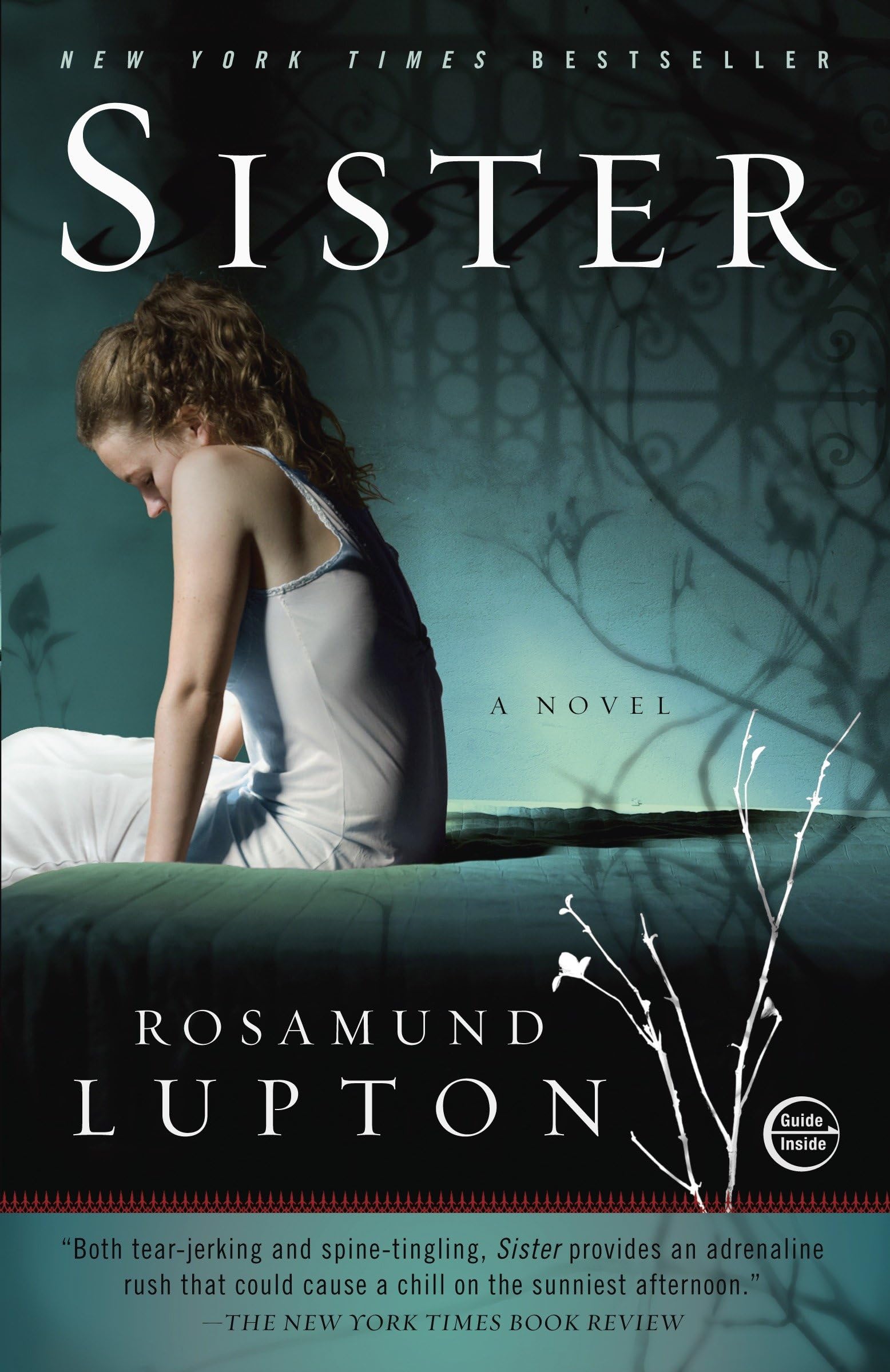 Sister: A Novel book cover