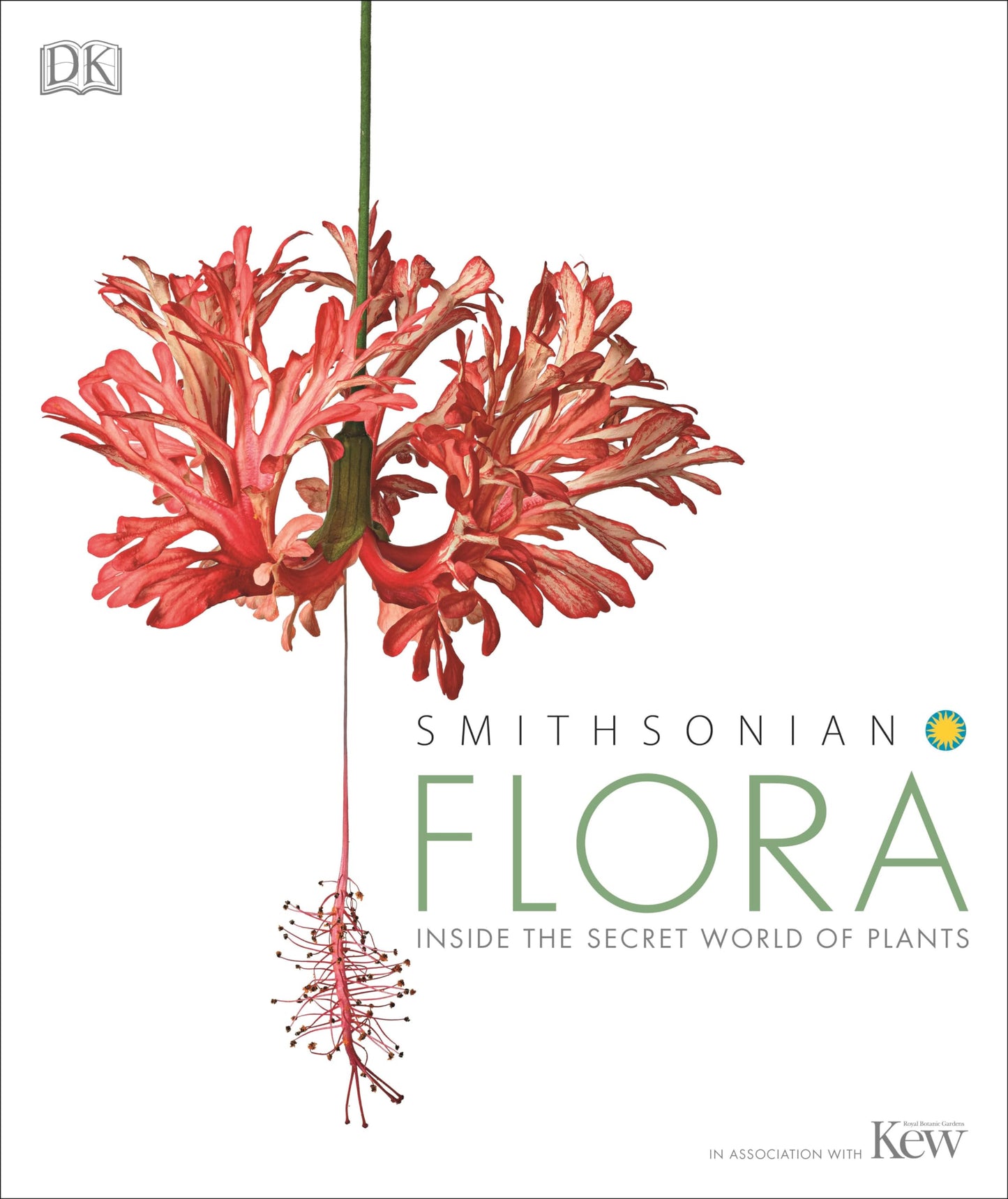 Flora: Inside the Secret World of Plants book cover