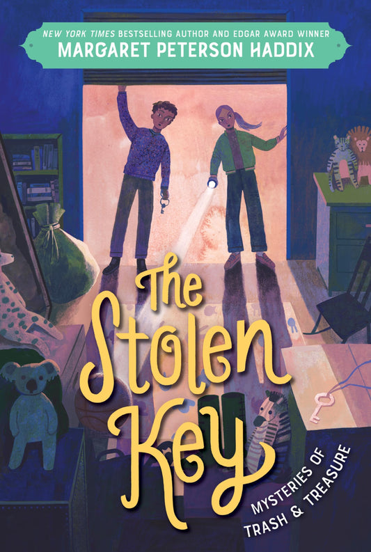 The Stolen Key book cover