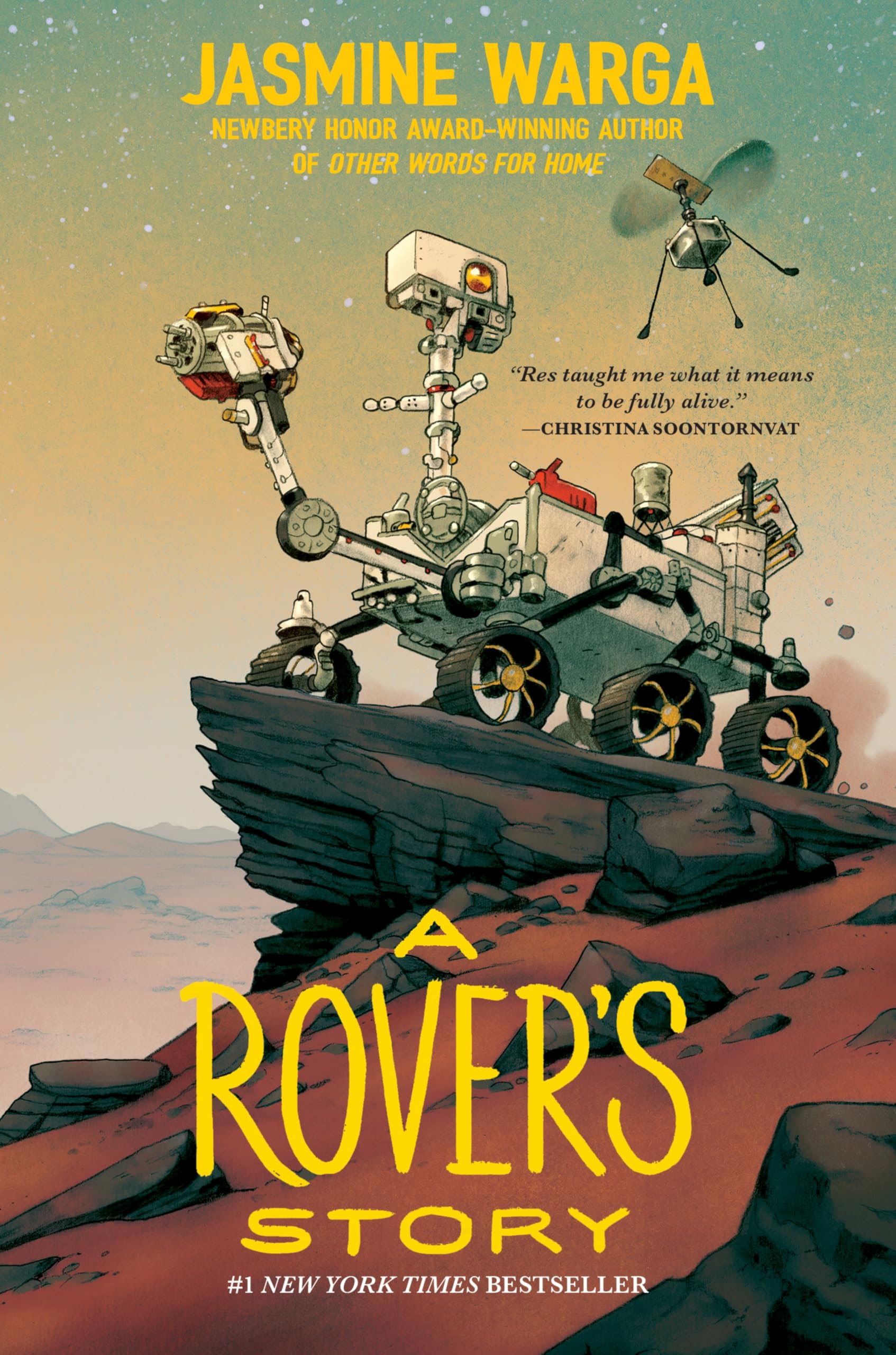 Rover's Story book cover