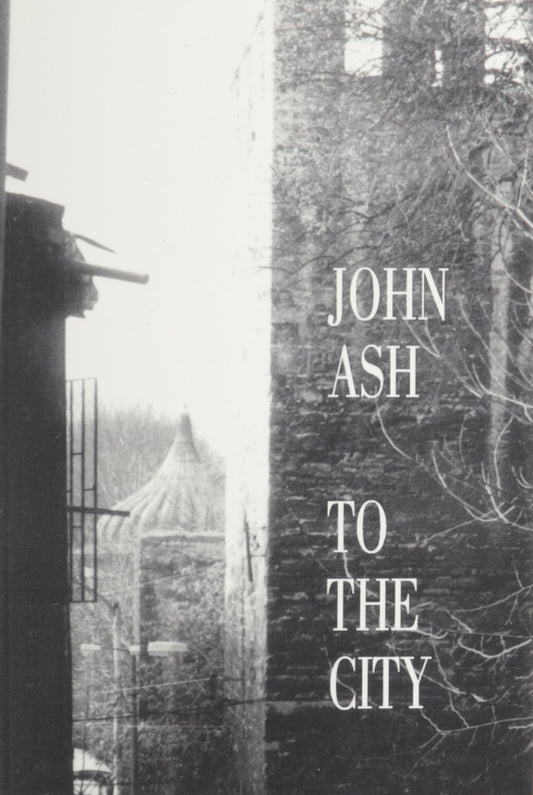 To the City book cover