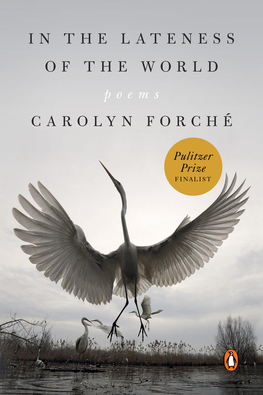 In the Lateness of the World: Poems book cover