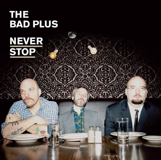 Never Stop book cover