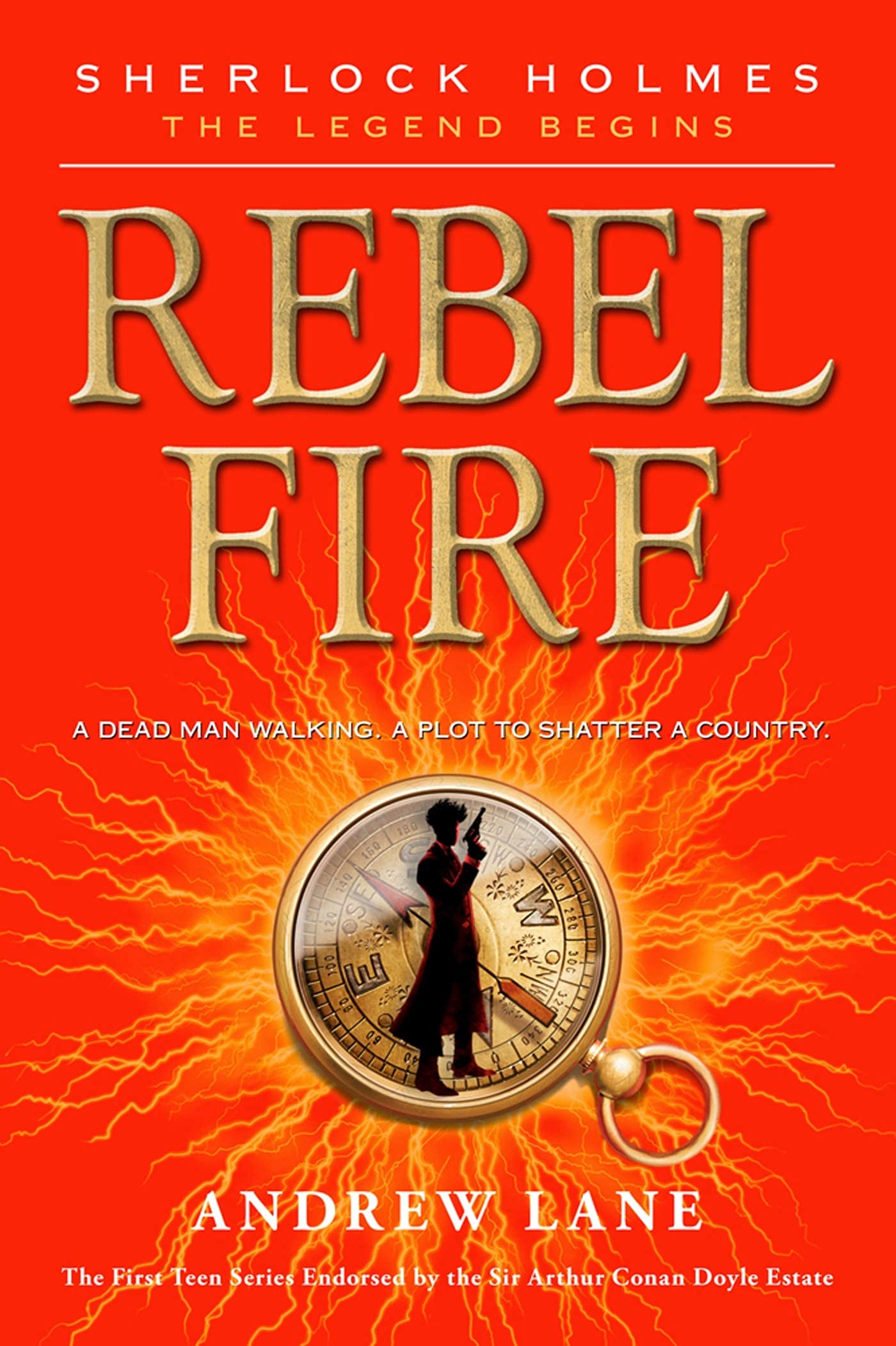 Rebel Fire book cover