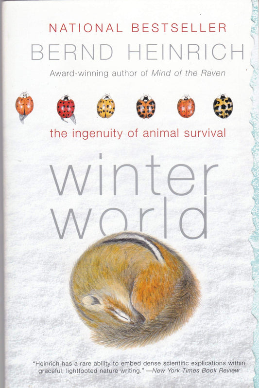 Winter World