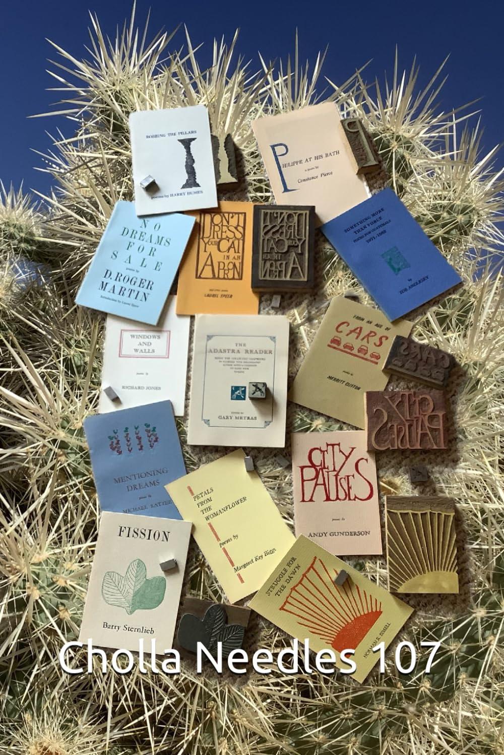 Cholla Needles 107 book cover