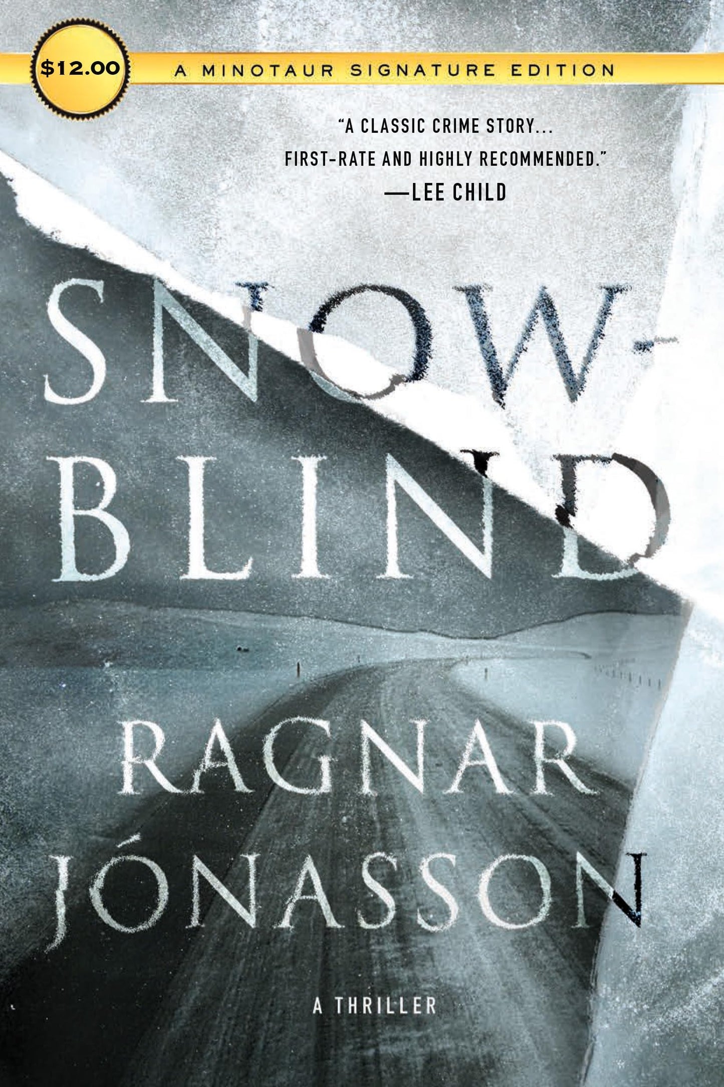Snowblind book cover