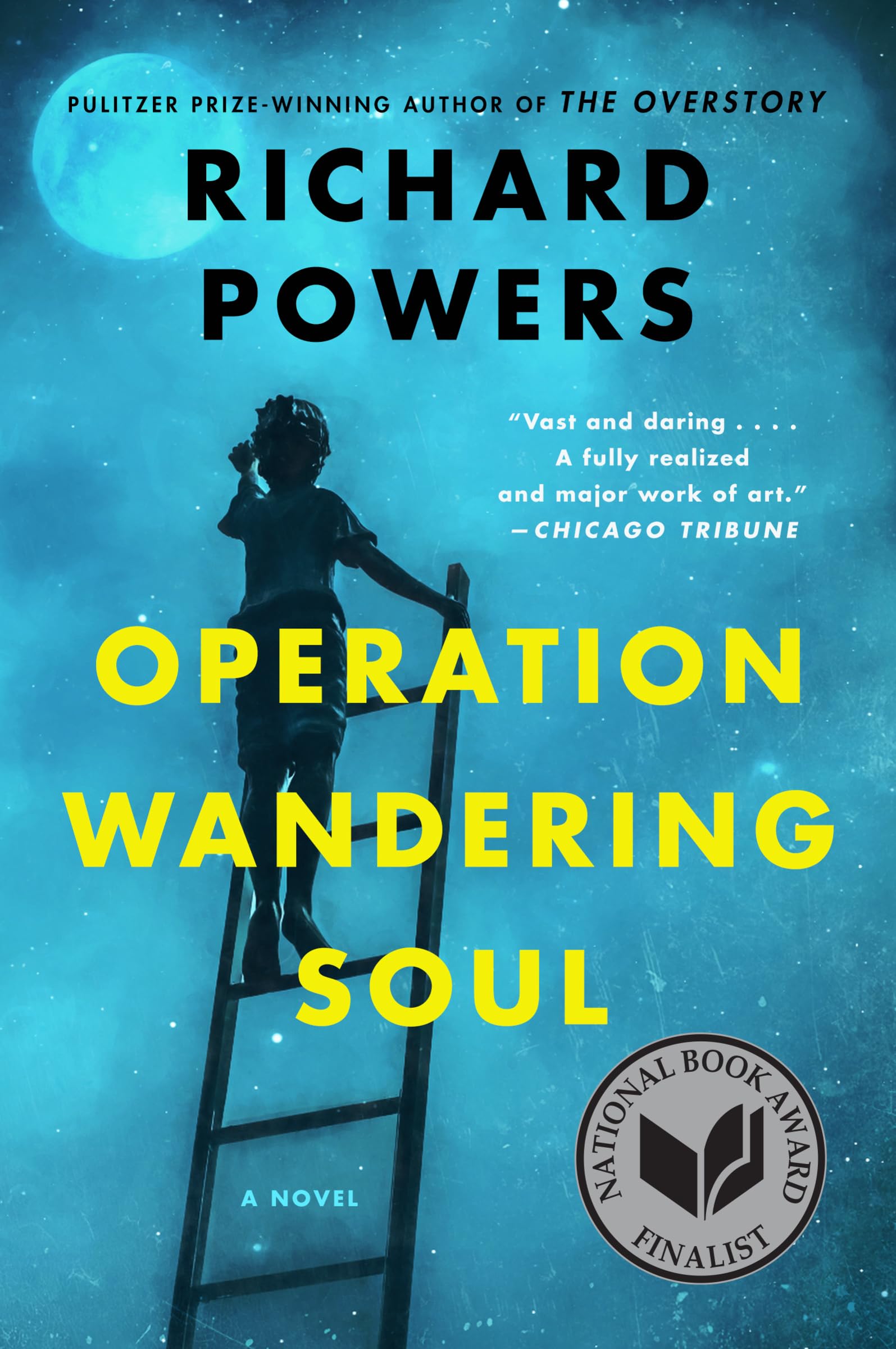 Operation Wandering Soul (Harperperennial) book cover