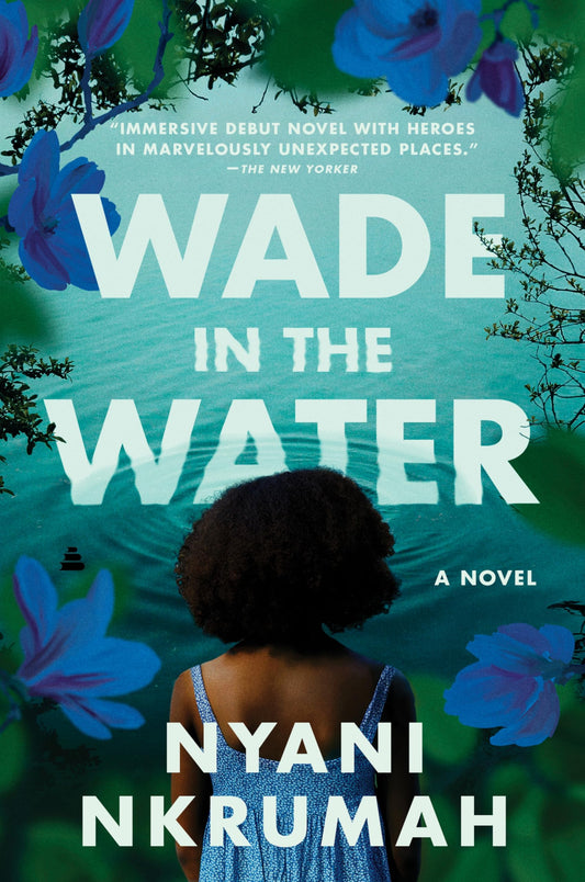 Wade in the Water book cover