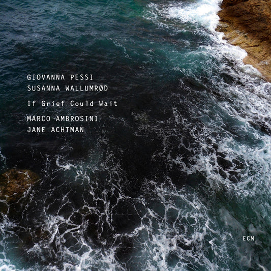 If Grief Could Wait book cover