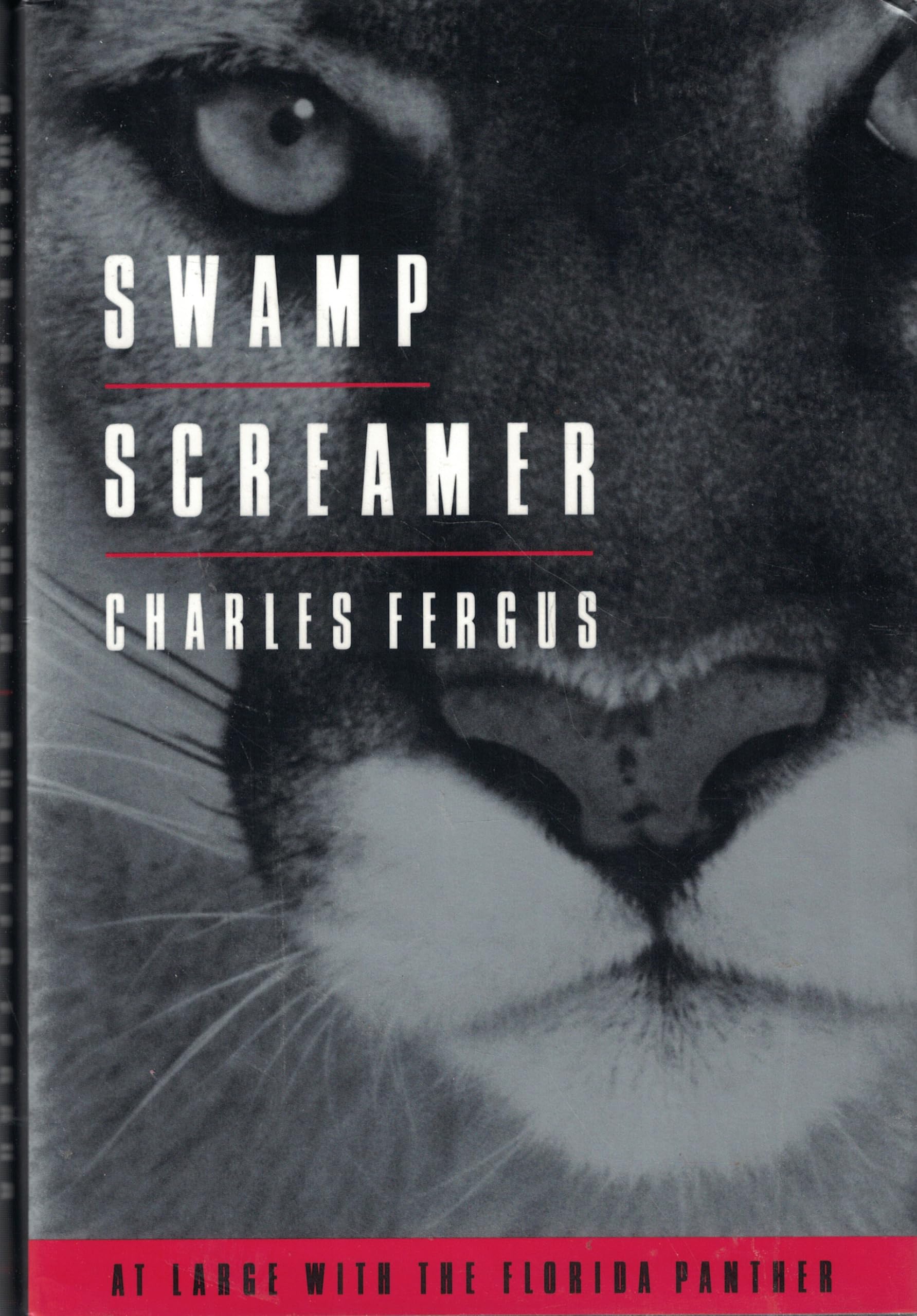 Swamp Screamers: At Large with the Florida Panther book cover