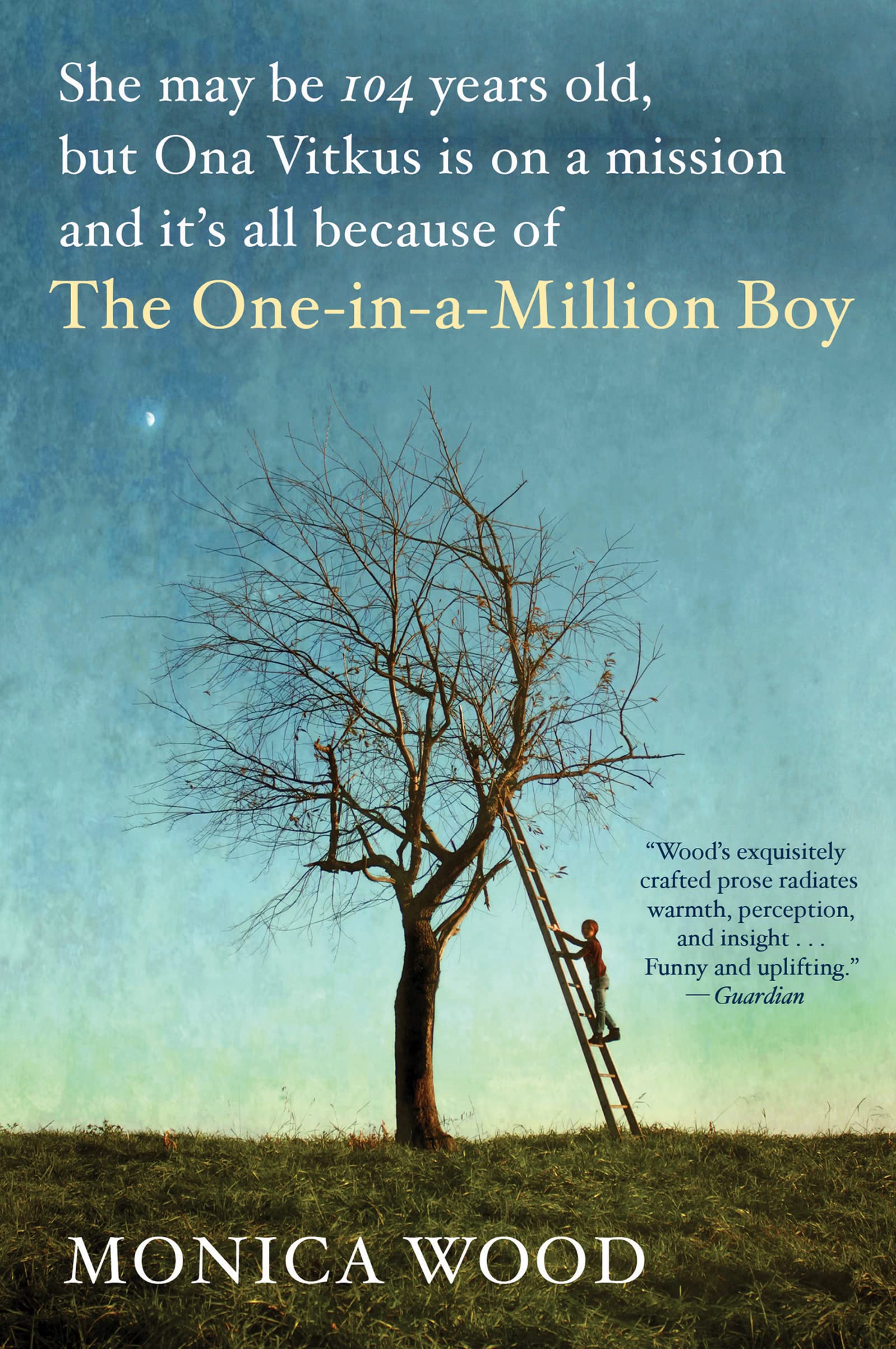One-In-A-Million Boy book cover