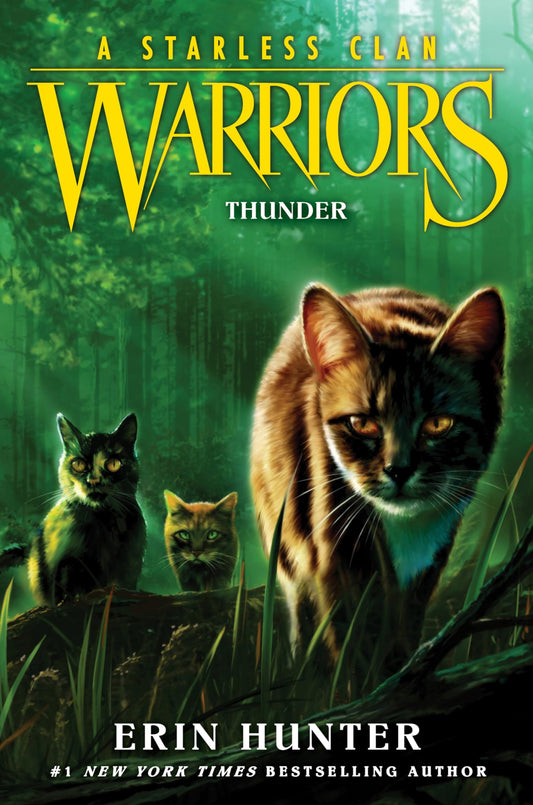 Thunder book cover