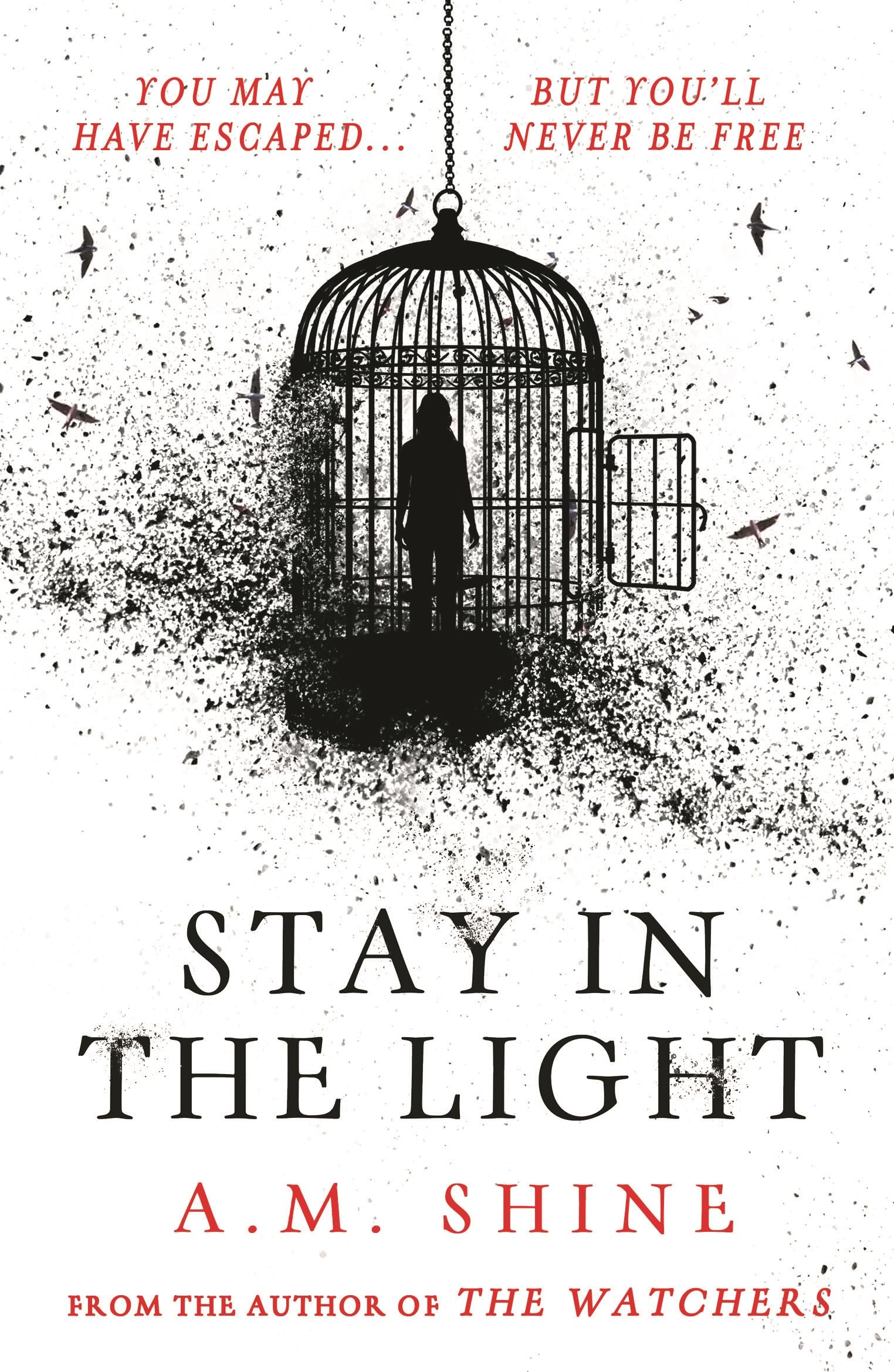 Stay in the Light book cover