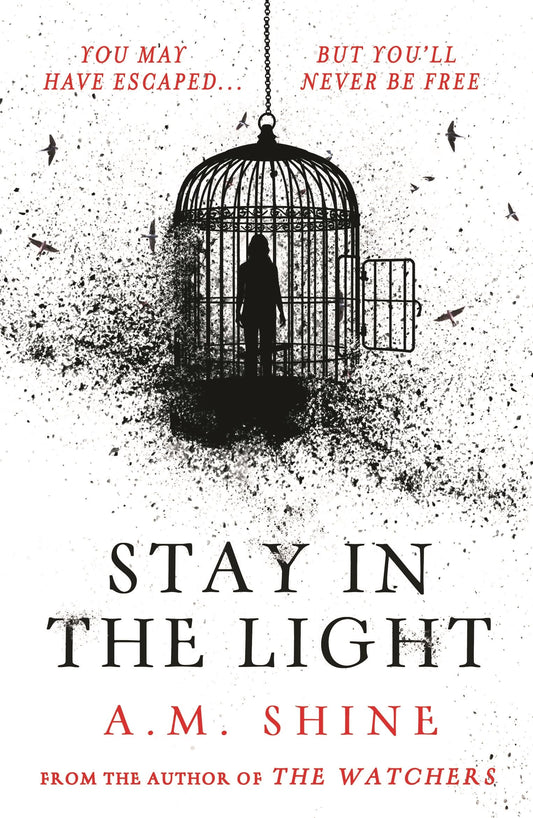 Stay in the Light book cover