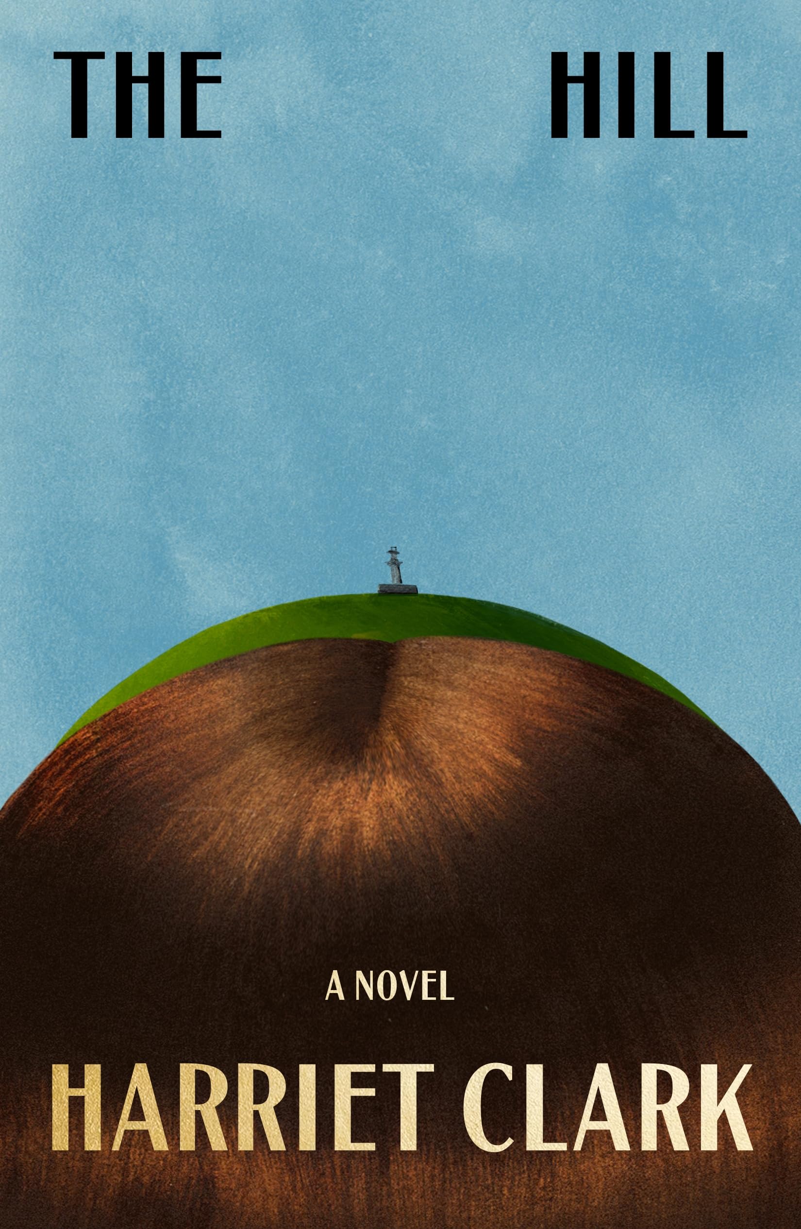 The Hill book cover