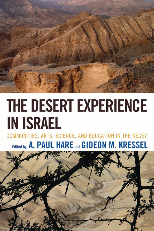 Desert Experience in Israel: Communities, Arts, Science, and Education in the Negev book cover