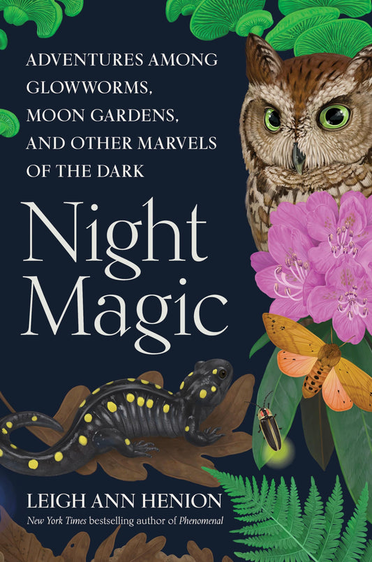 Night Magic: Adventures Among Glowworms, Moon Gardens, and Other Marvels of the Dark book cover