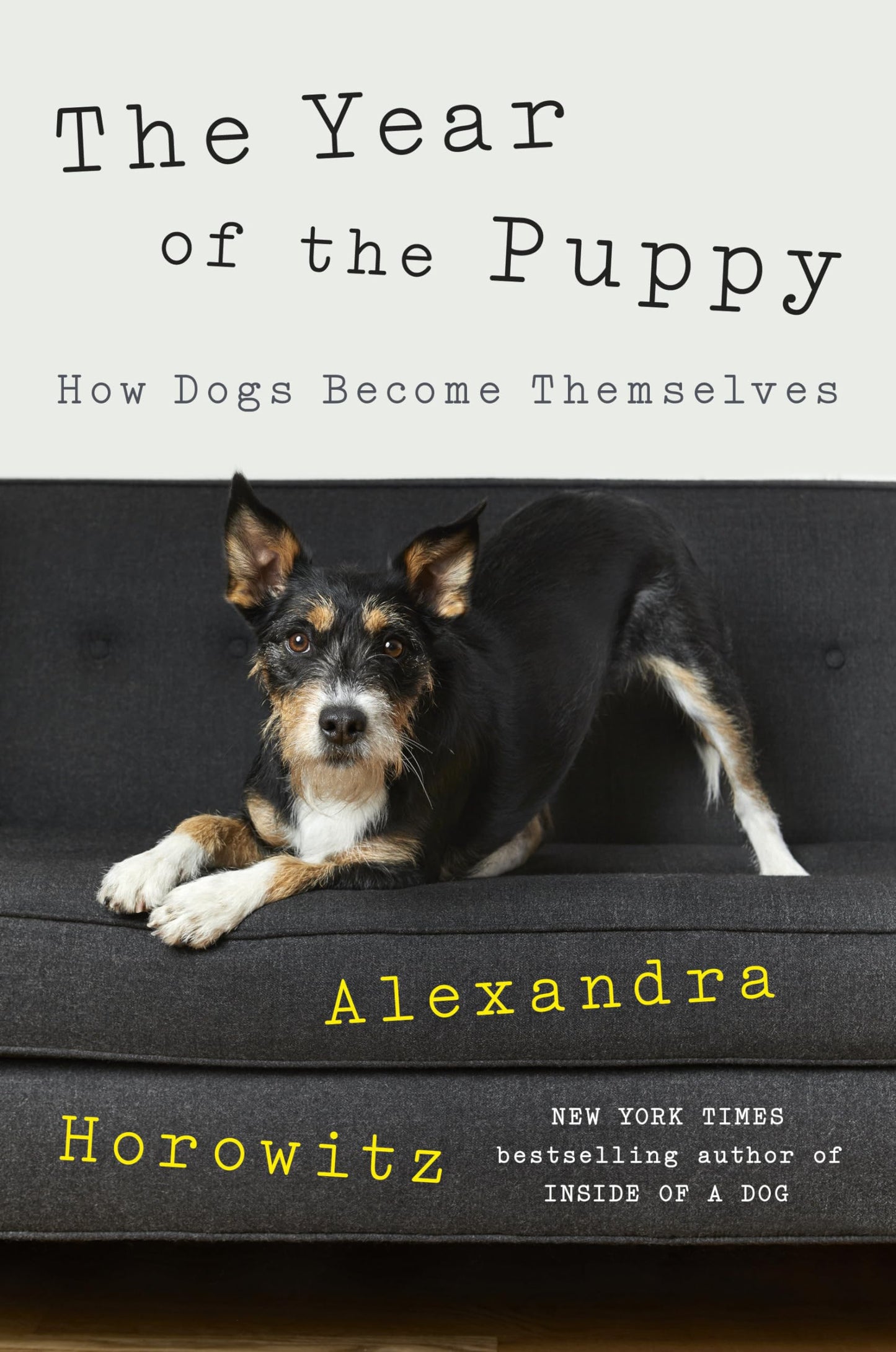 Year of the Puppy: How Dogs Become Themselves