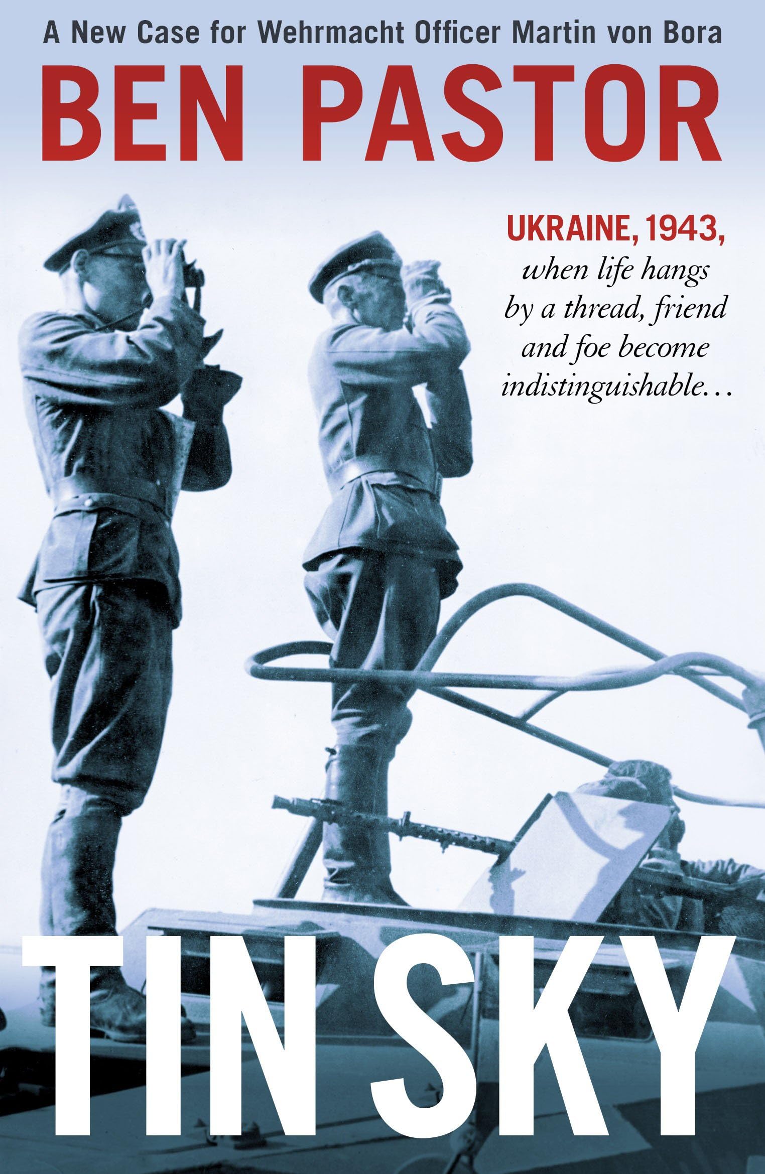 Tin Sky book cover