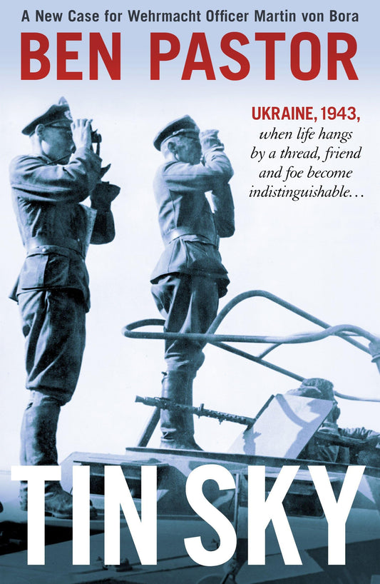 Tin Sky book cover