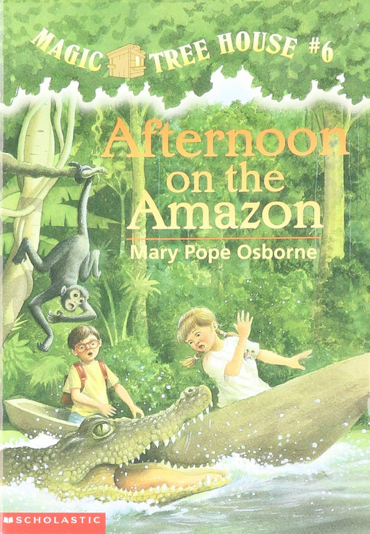 Afternoon on the Amazon book cover