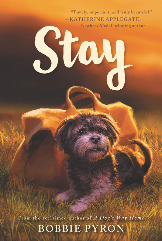 Stay book cover