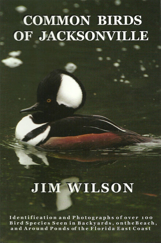 Common Birds of Jacksonville