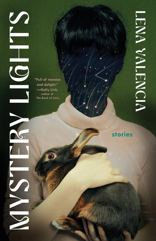 Mystery Lights book cover
