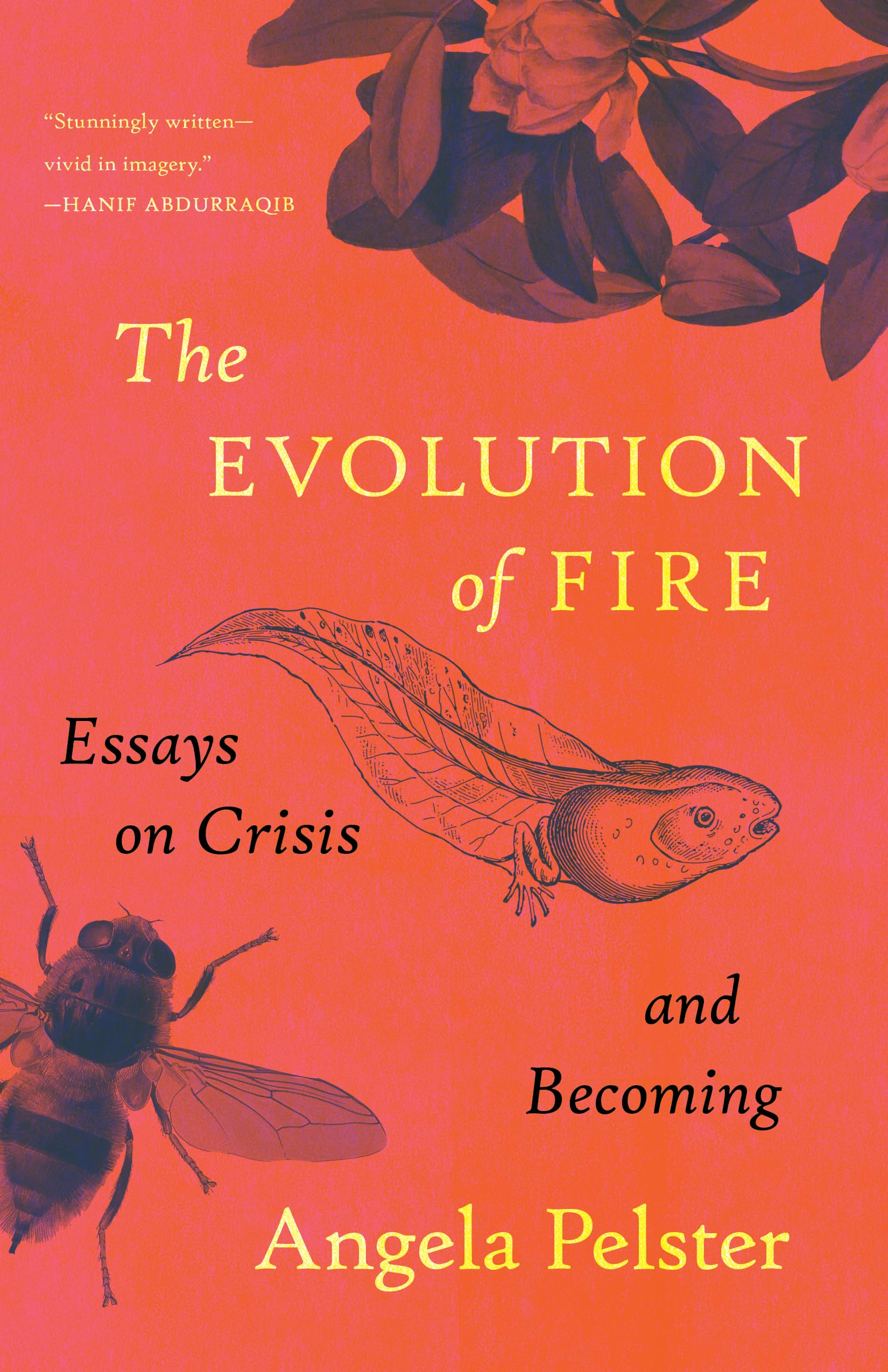 The Evolution of Fire: Essays on Crisis and Becoming book cover