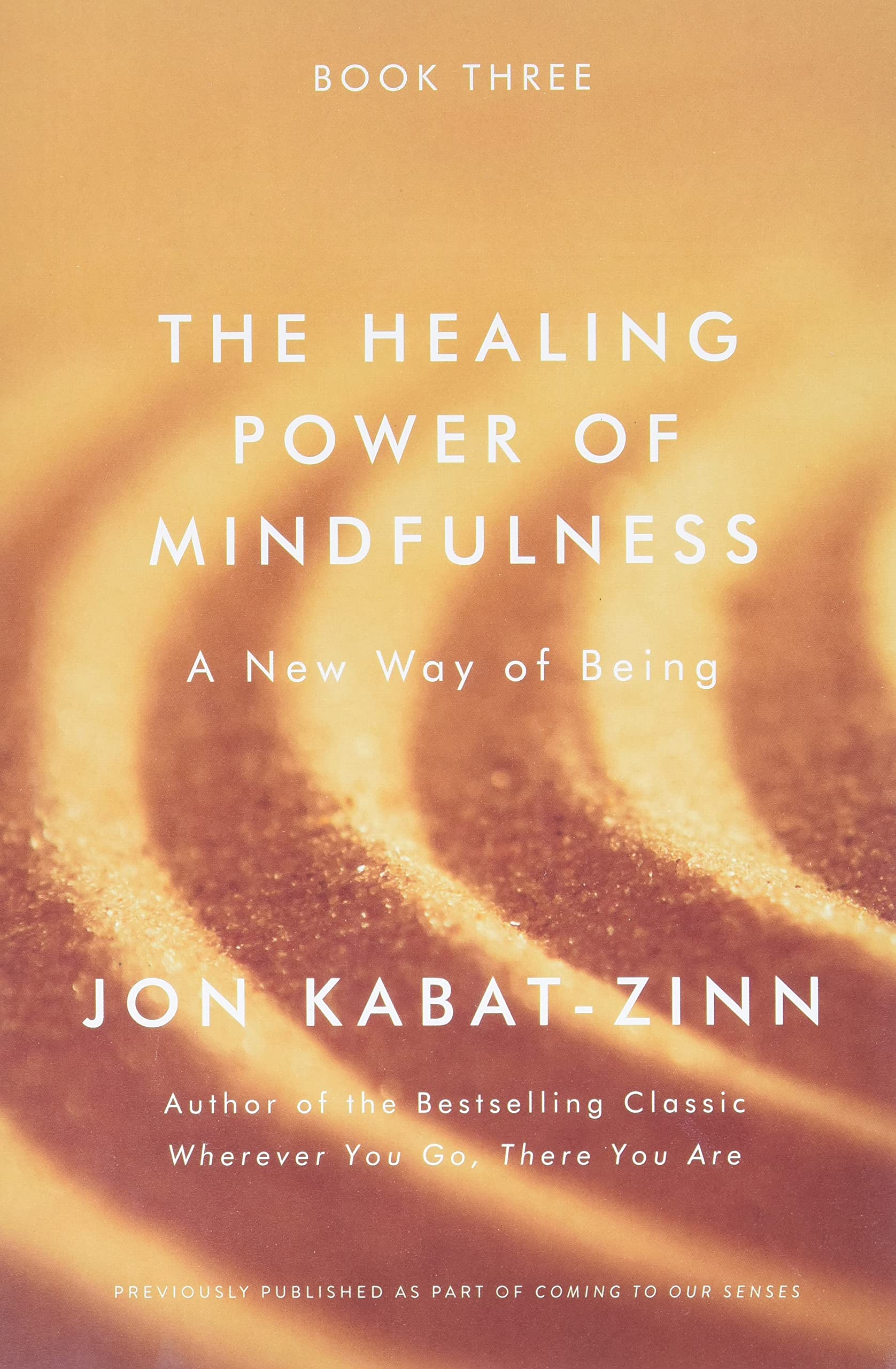 The Healing Power of Mindfulness: A New Way of Being book cover