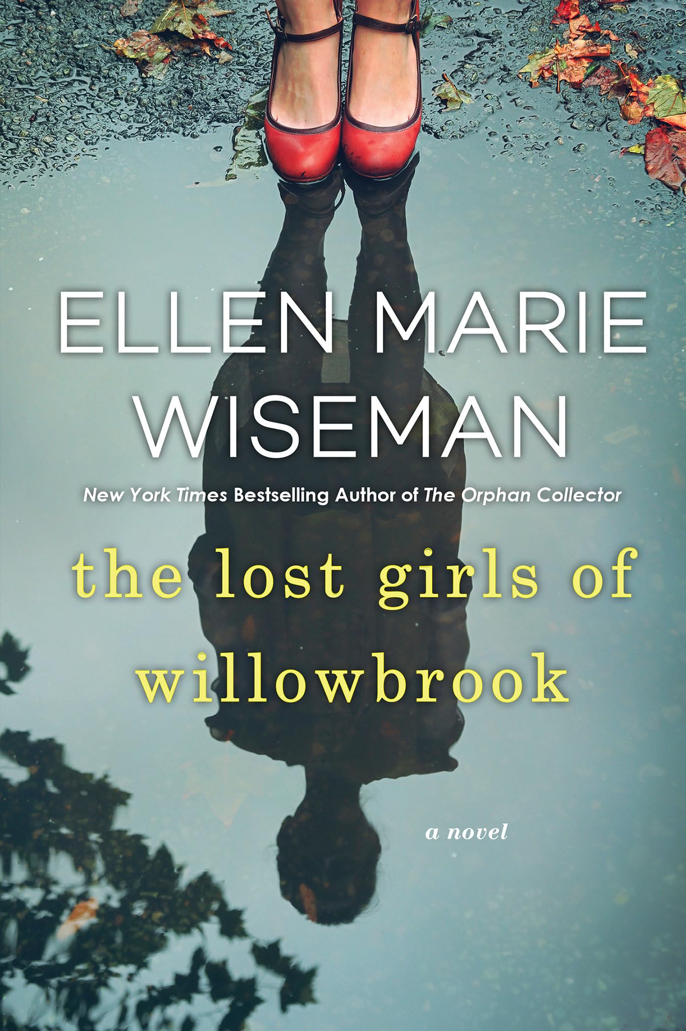 Lost Girls of Willowbrook: A Heartbreaking Novel of Survival Based on True History book cover