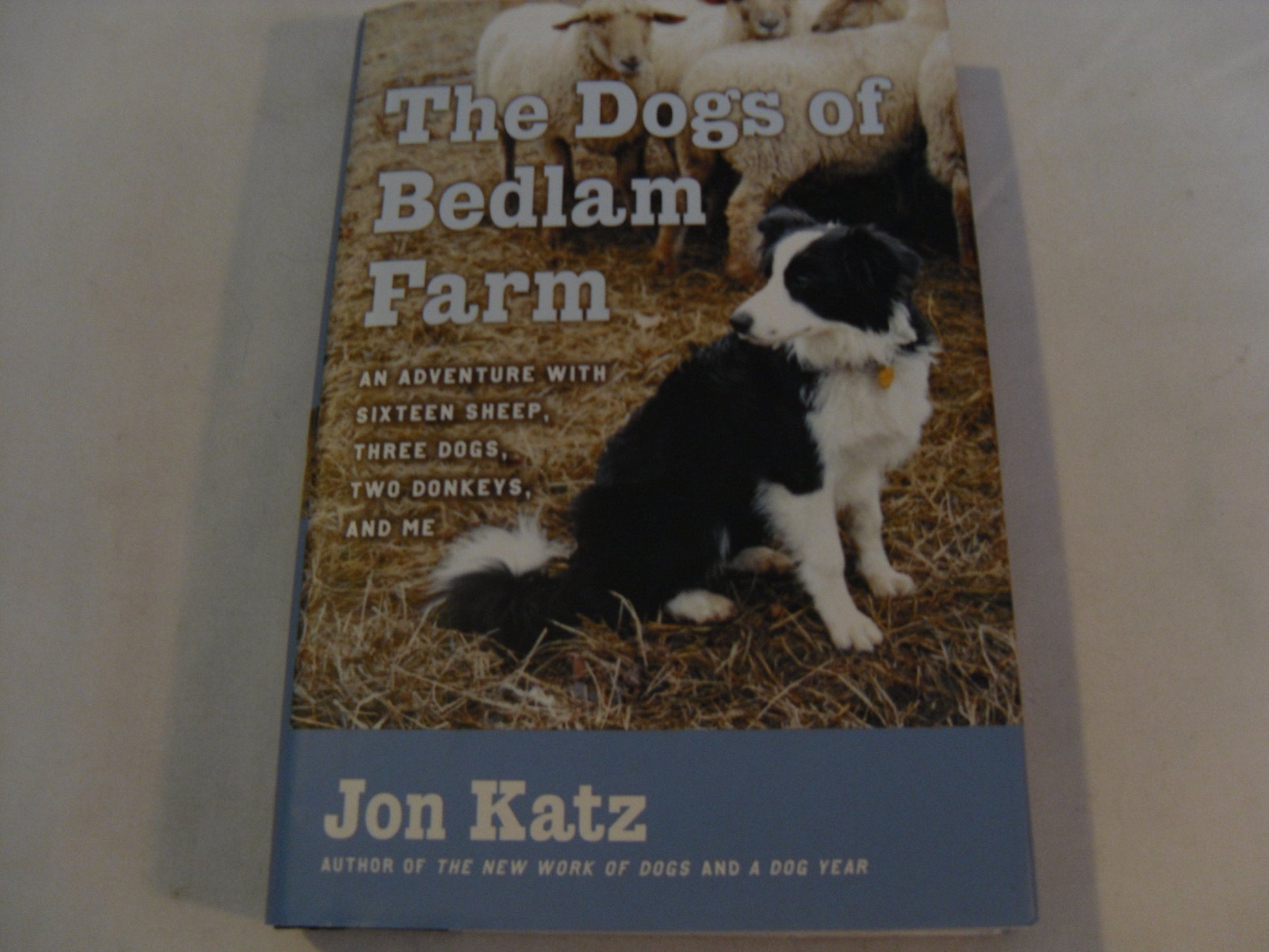 Dogs of Bedlam Farm: An Adventure with Sixteen Sheep, Three Dogs, Two Donkeys, and Me book cover