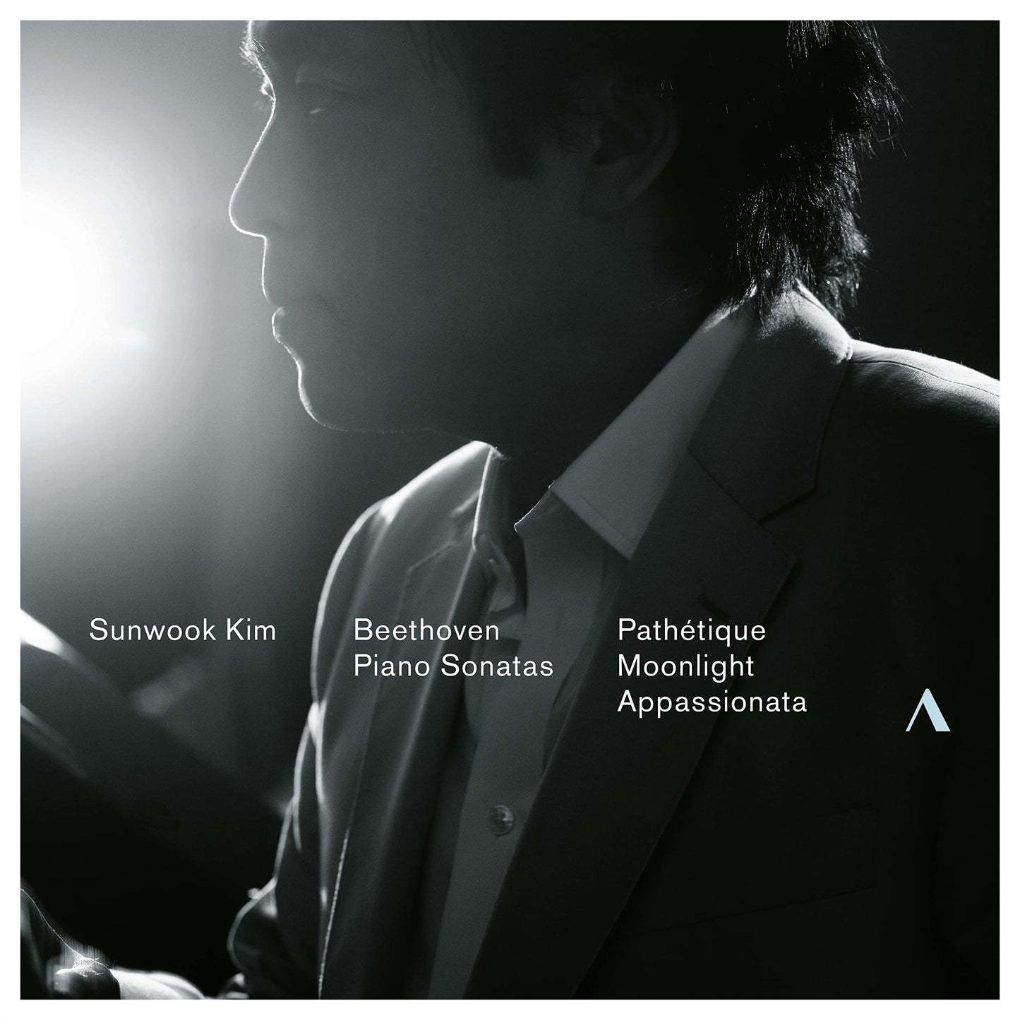 Ludwig Van Beethoven: Piano Sonatas book cover