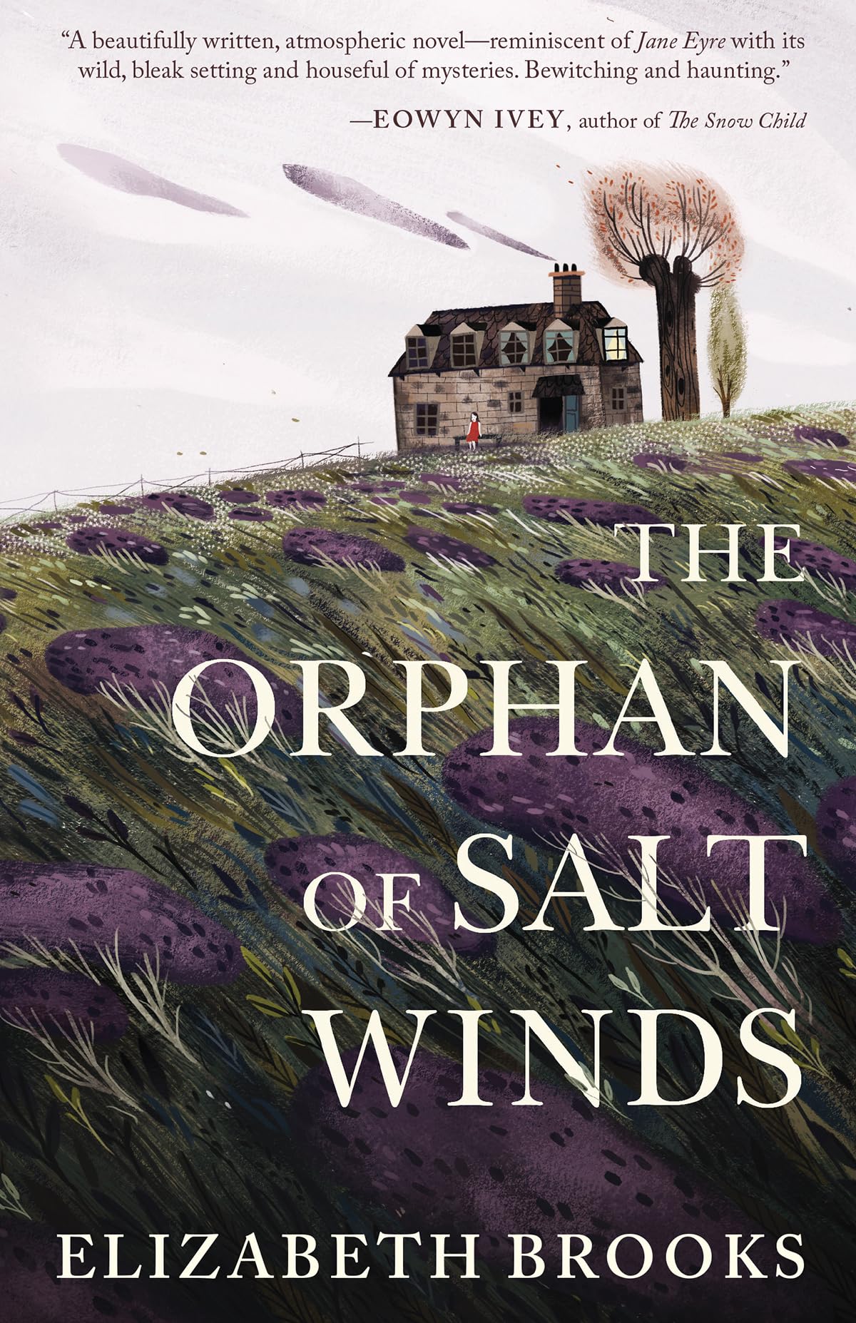 Orphan of Salt Winds book cover