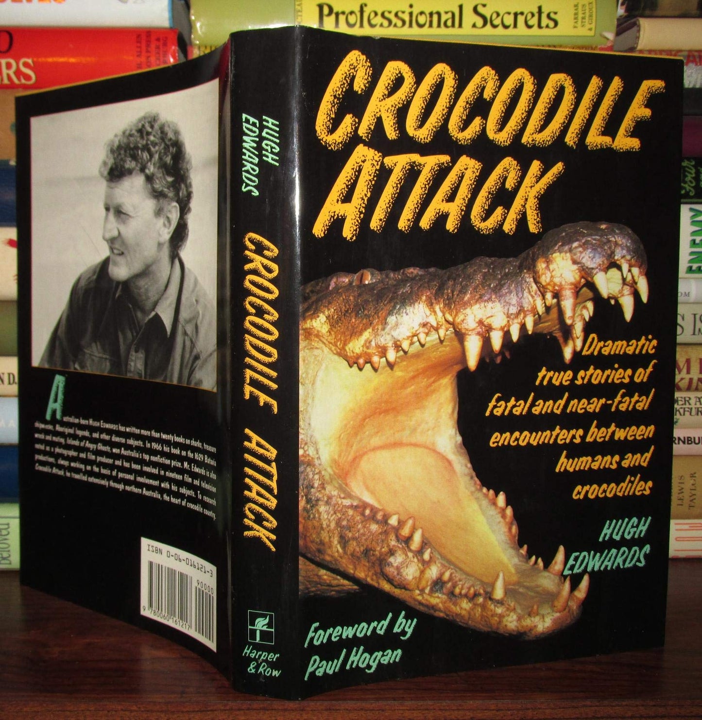 Crocodile Attack (Us)