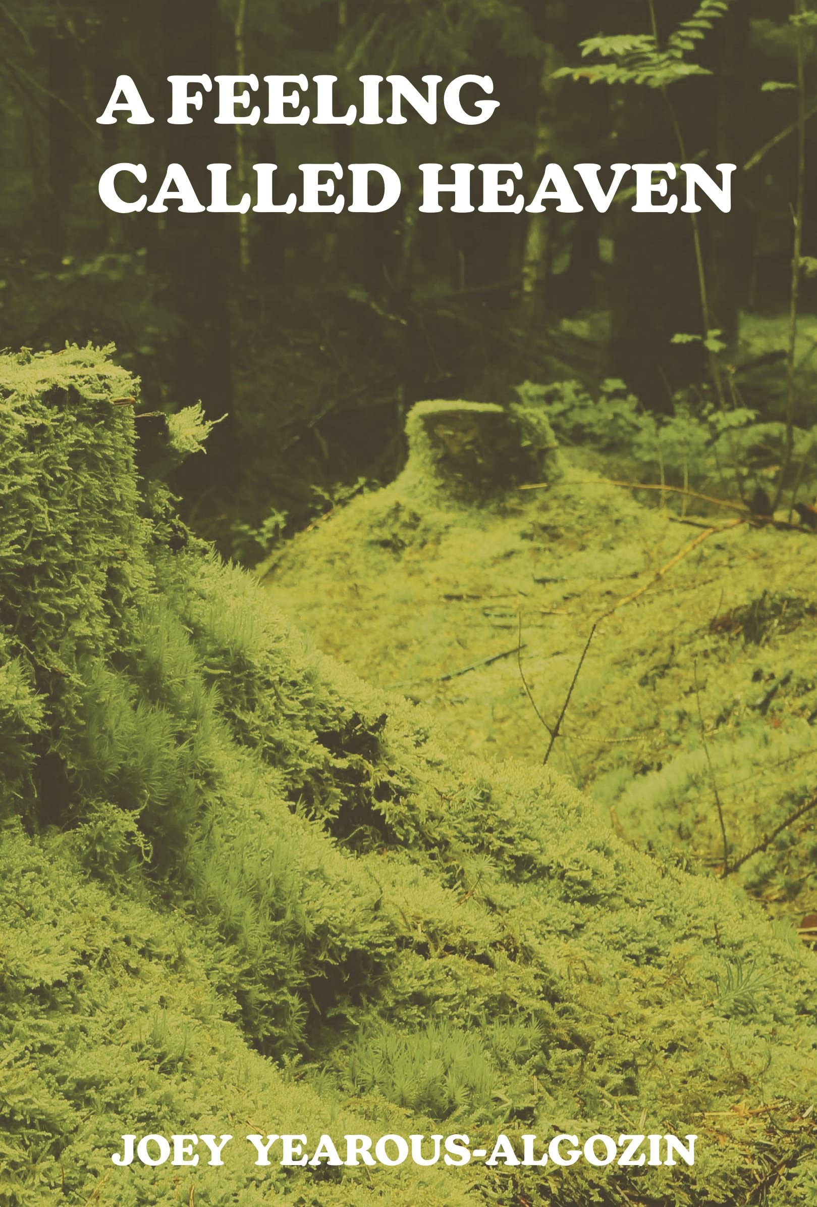 Feeling Called Heaven book cover