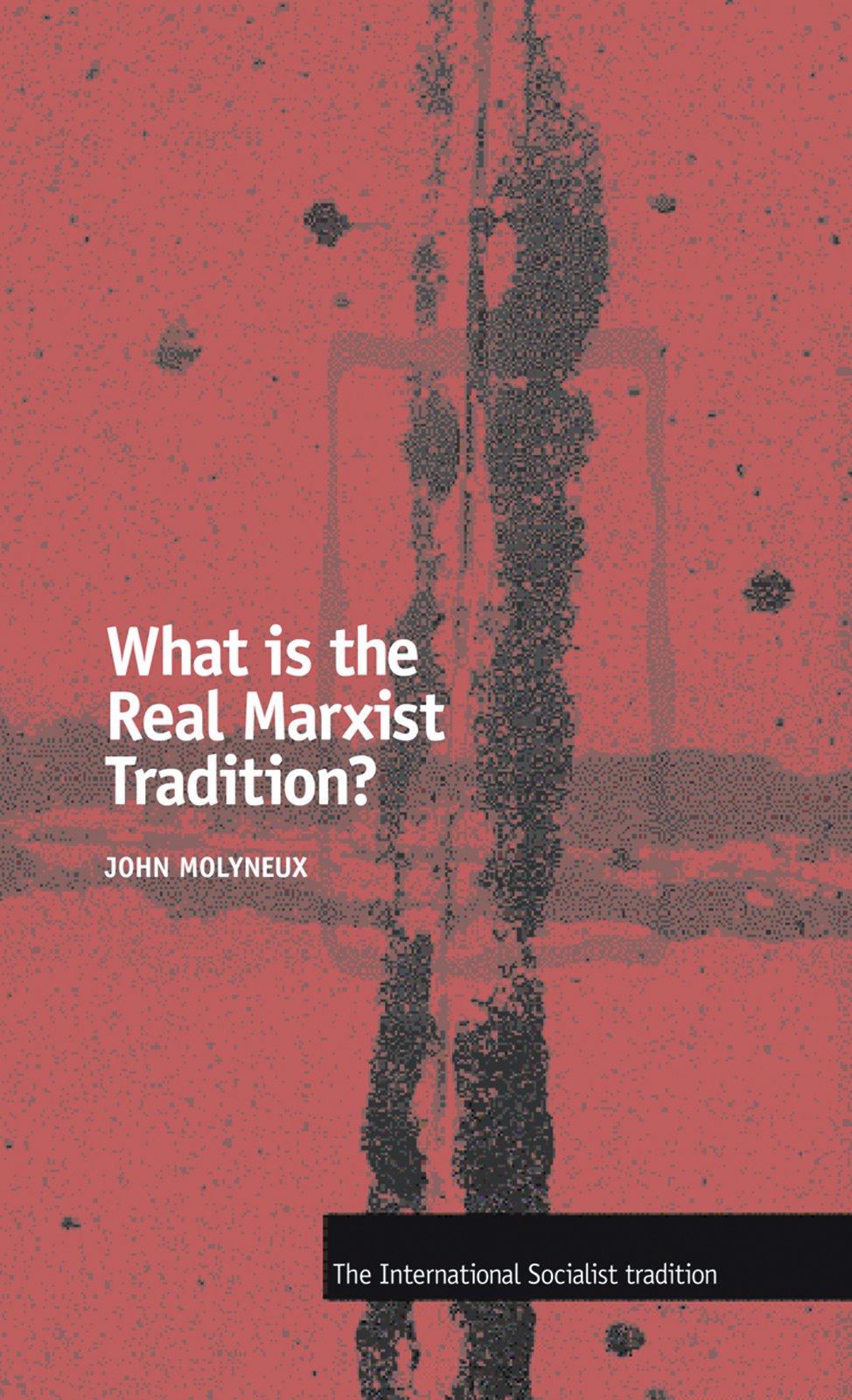 What Is the Real Marxist Tradition? book cover