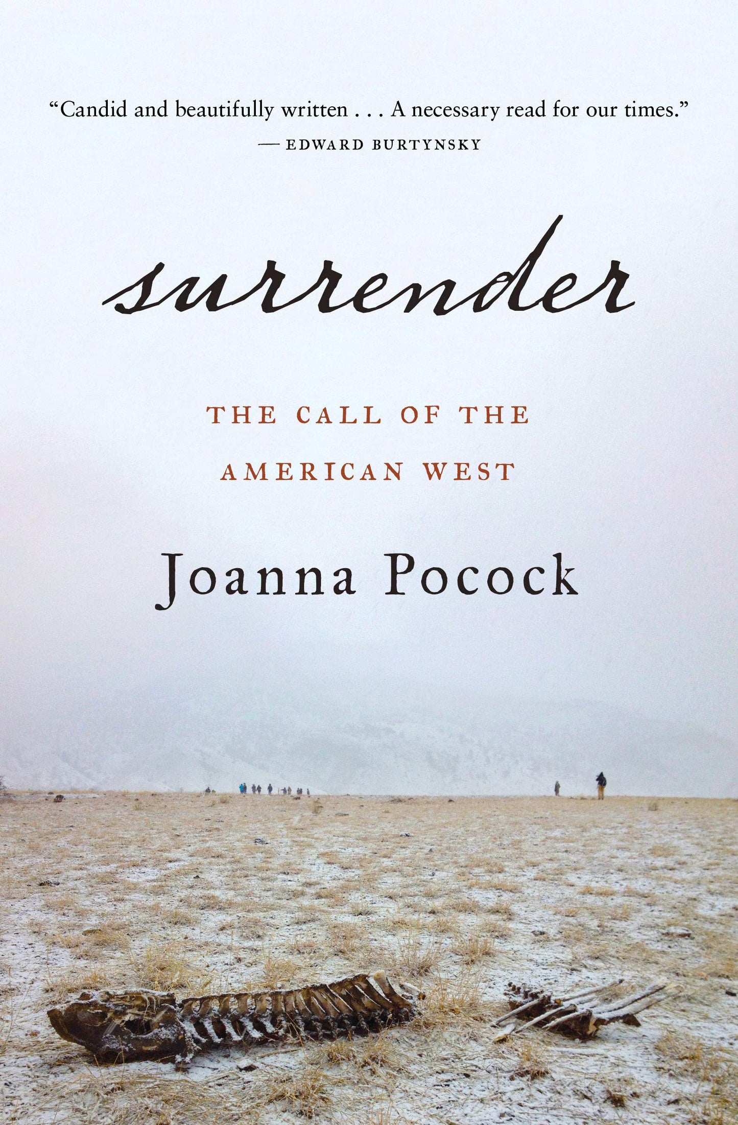 Surrender book cover