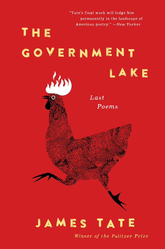 The Government Lake book cover