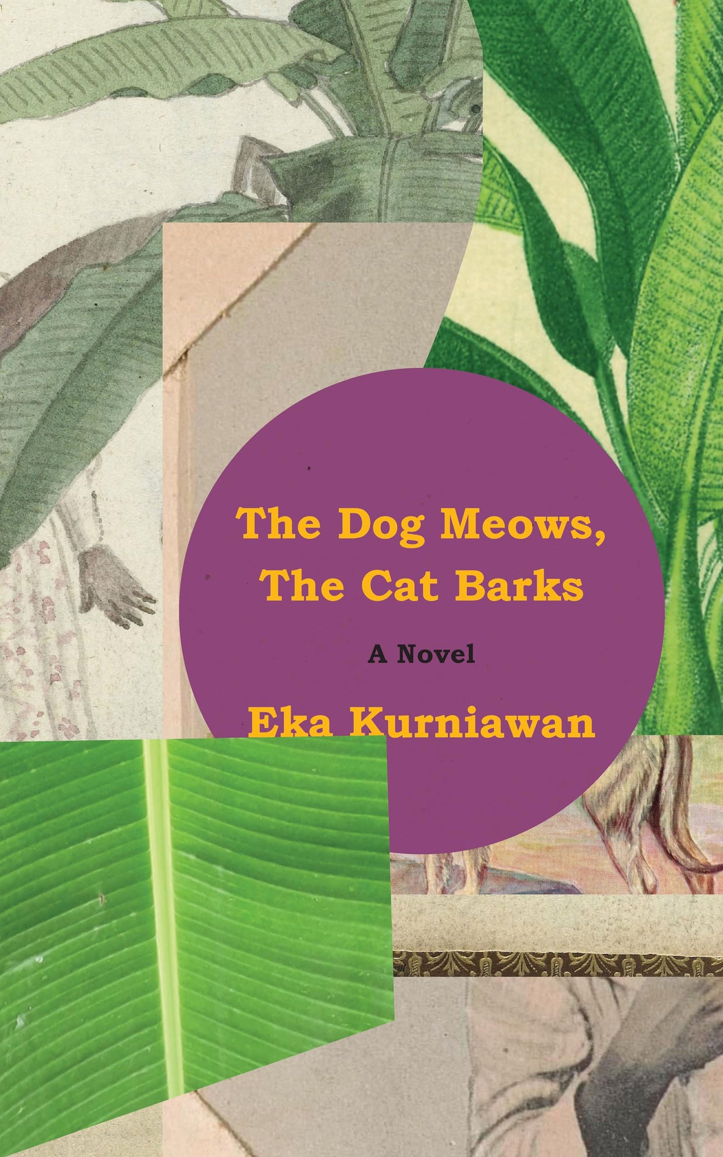 The Dog Meows, the Cat Barks book cover