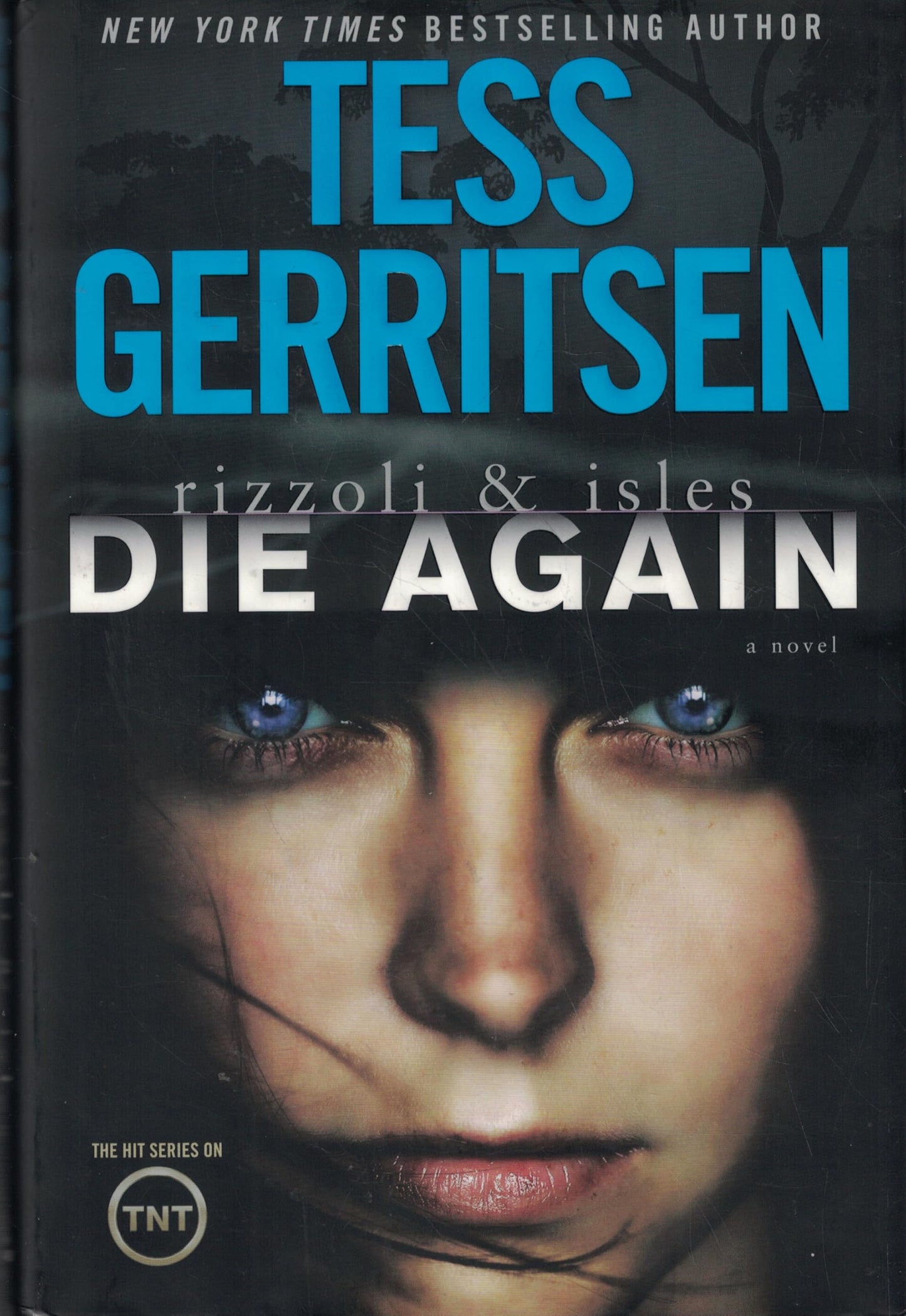Die Again book cover