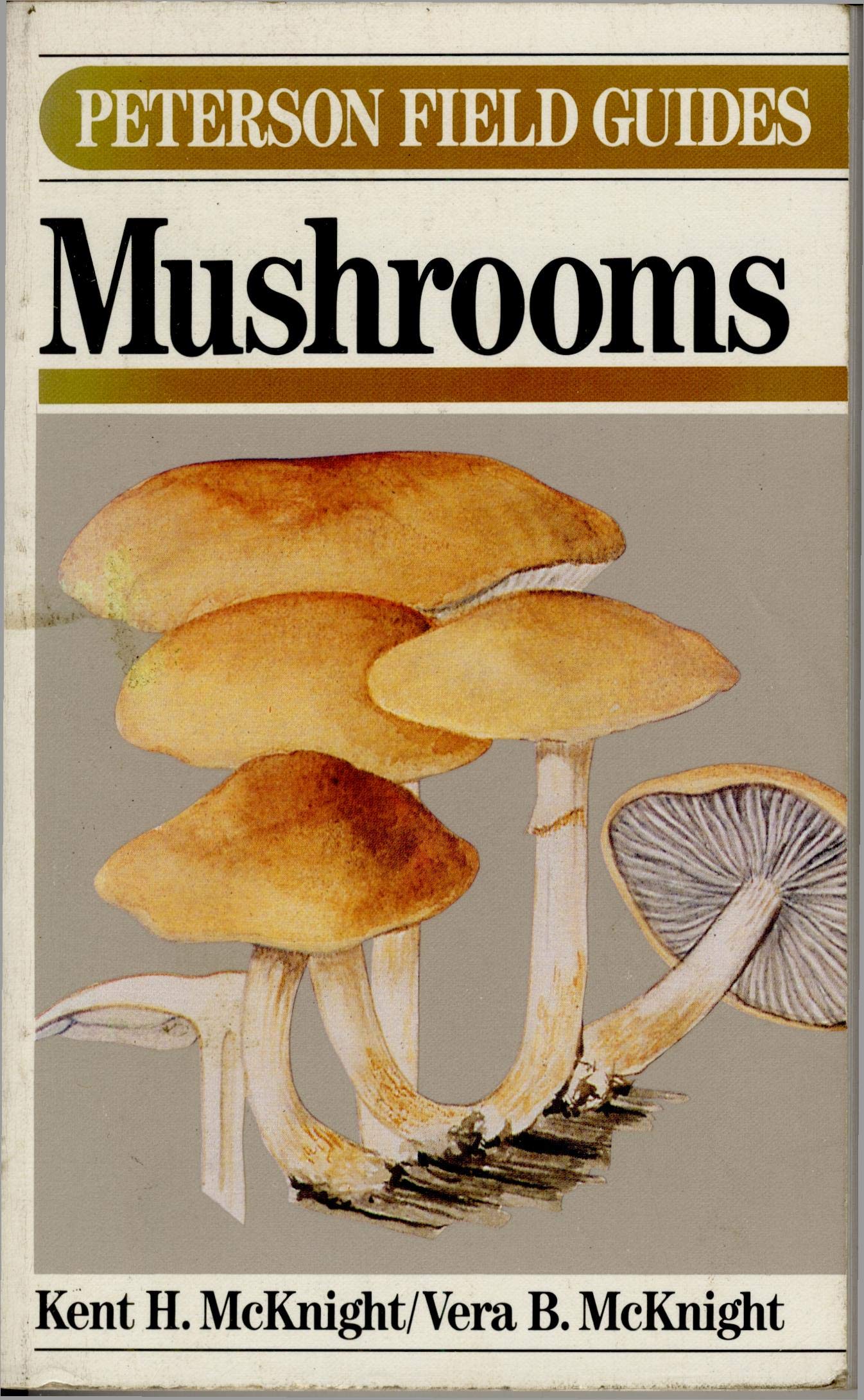 Mushrooms: North America