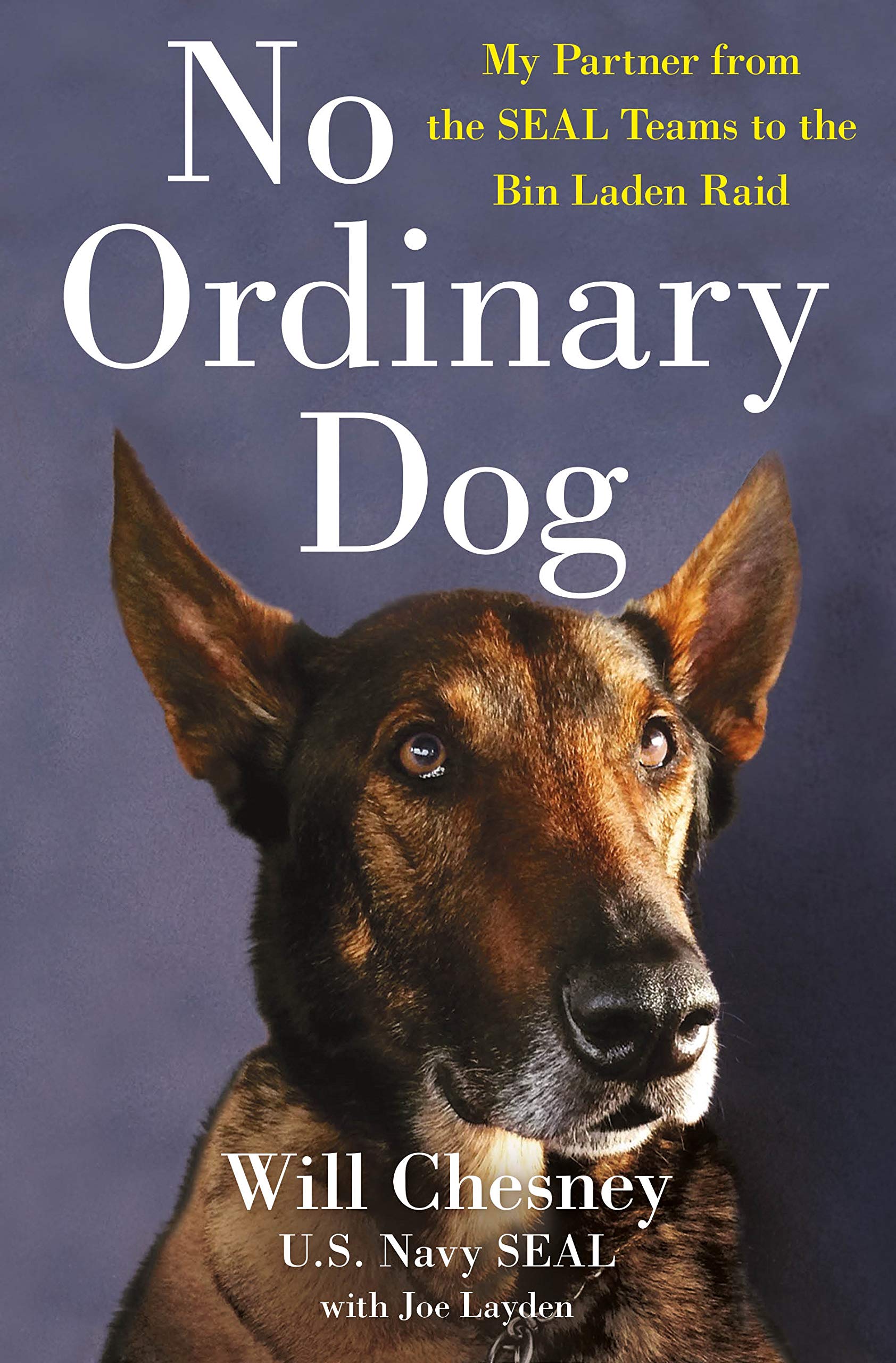 No Ordinary Dog: My Partner from the Seal Teams to the Bin Laden Raid book cover