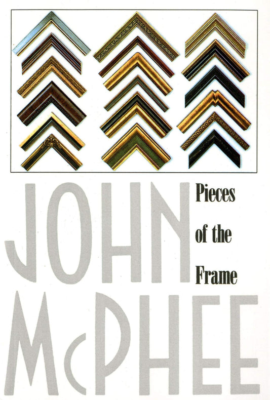 Pieces of the Frame book cover