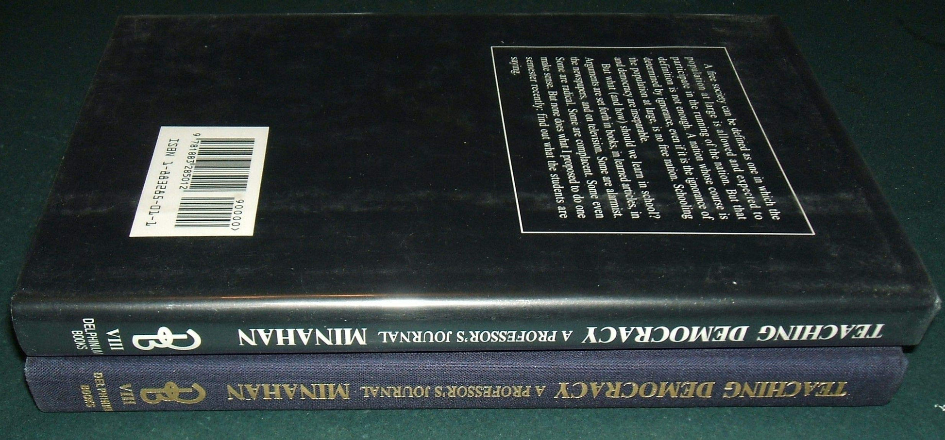Teaching Democracy: A Professor's Journal book cover