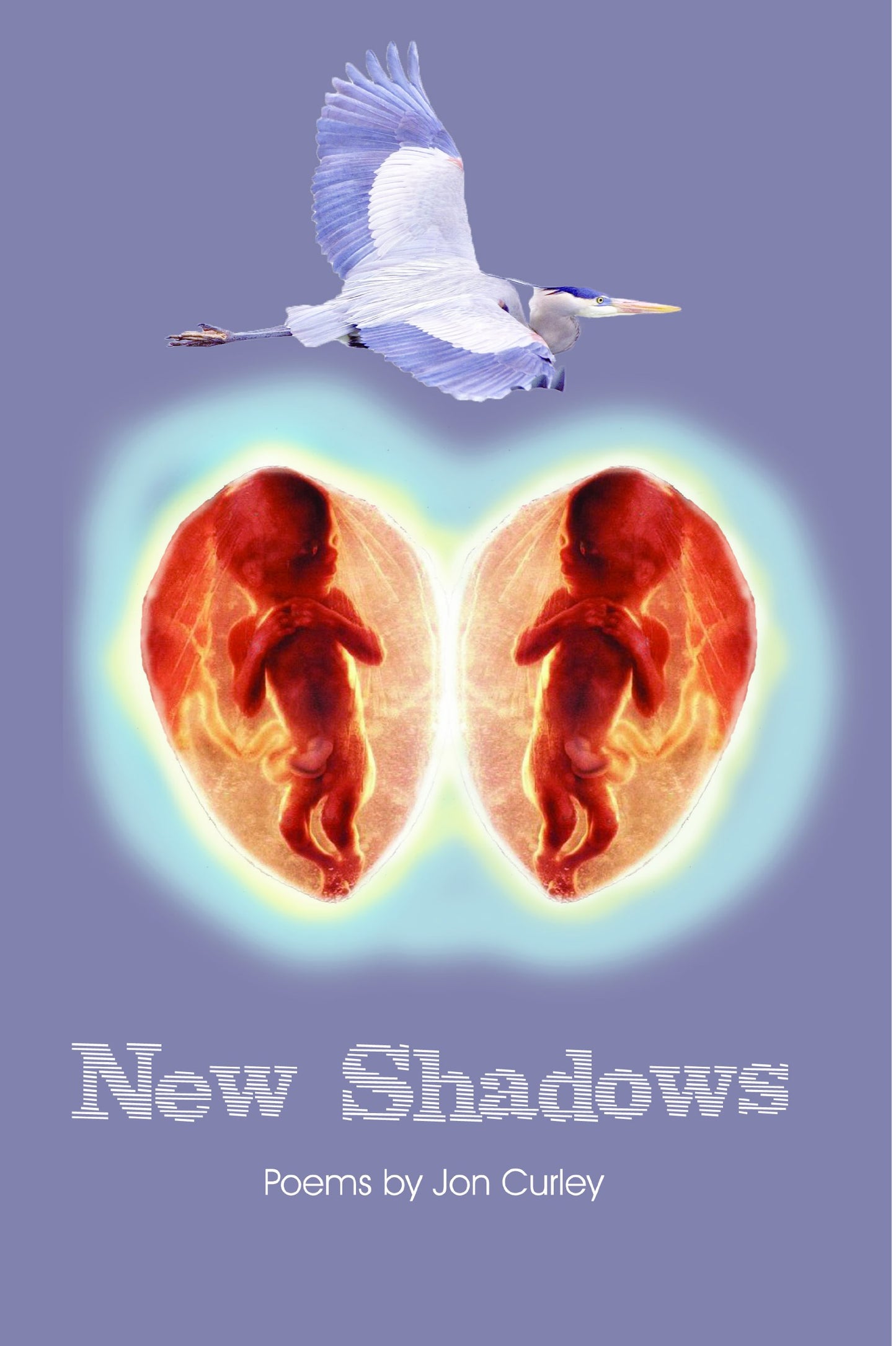 New Shadows book cover