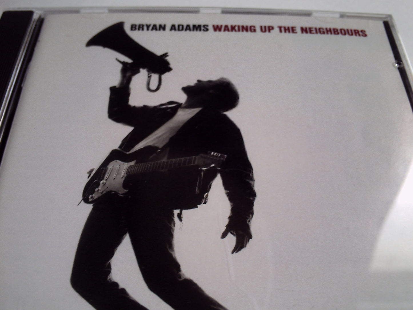 Waking Up the Neighbours book cover