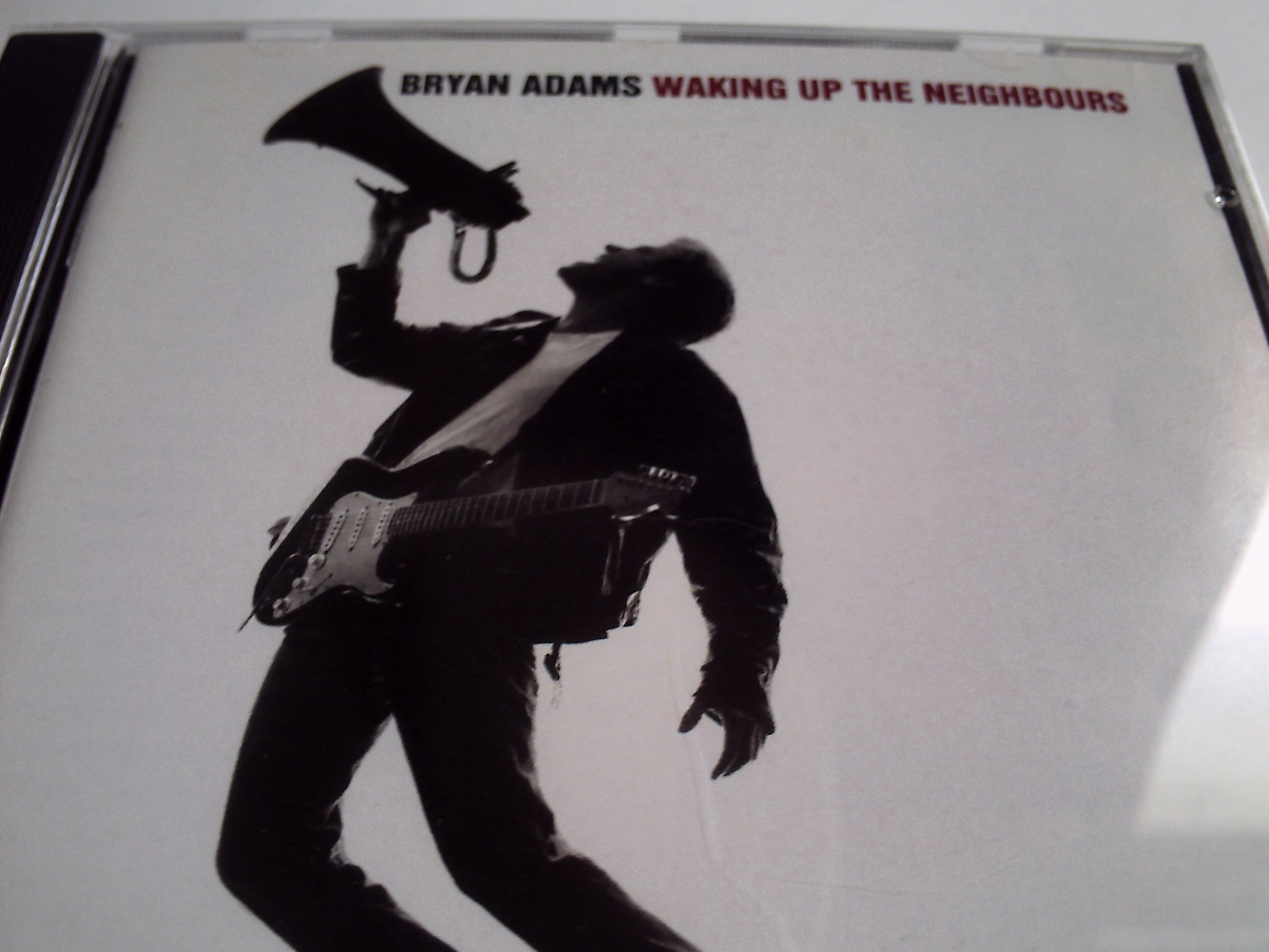 Waking Up the Neighbours book cover