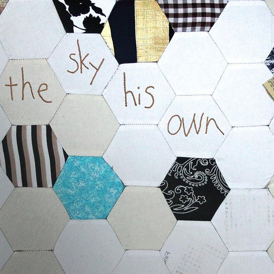 Sky His Own book cover